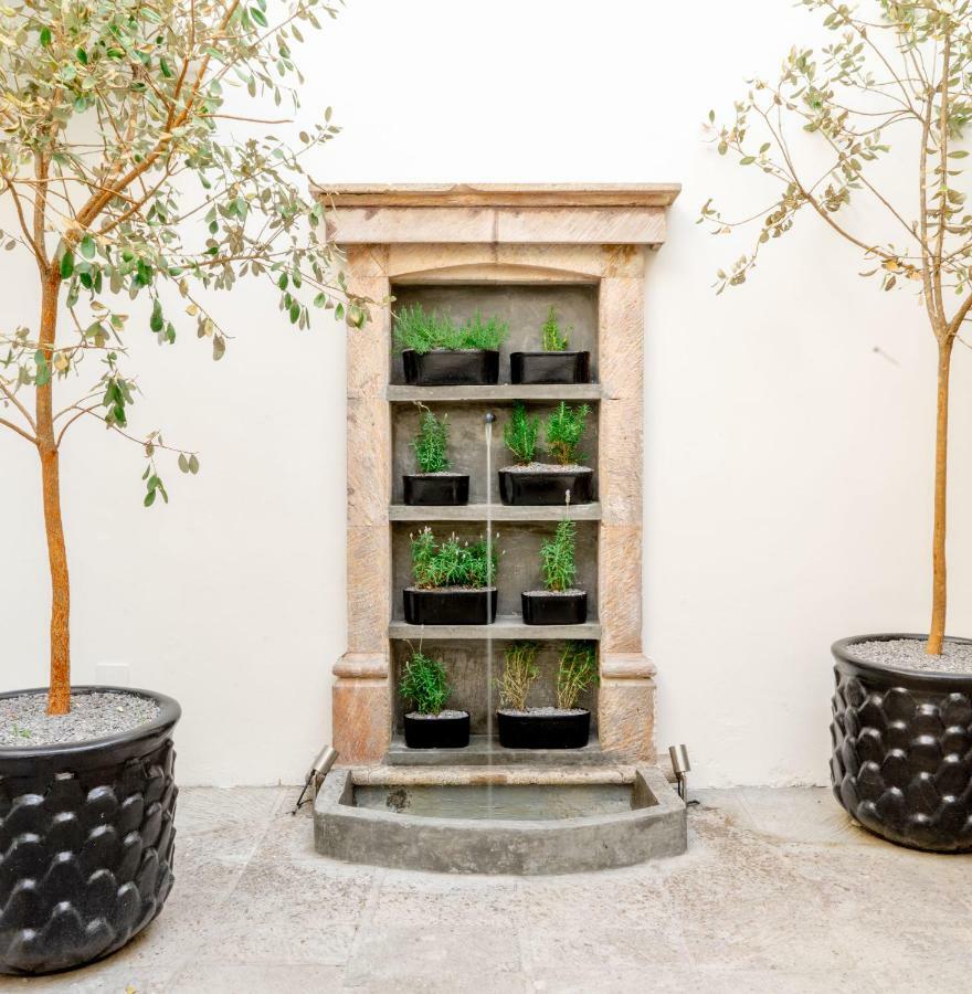 Casa Delphine Hotel San Miguel de Allende Eksteriør billede